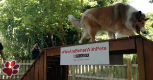 #WeAreBetterWithPets Weekend by PURINA