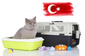 H Τουρκική αγορά προϊόντων και αξεσουάρ για ζώα συντροφιάς βρίσκεται σε άνοδο!