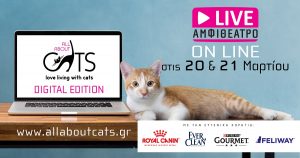 All About Cats Digital Edition
