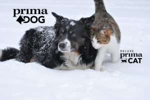 Prima Dog Treats & Prima Cat