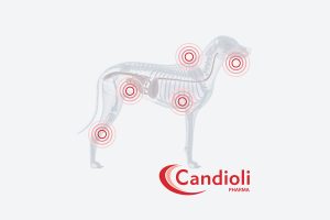 Γνωρίστε την εταιρία Candioli Pharma και τα καινοτόμα προϊόντα της
