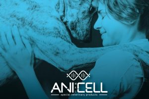 Anicell: 5+1 πράγματα που θέλετε να μάθετε!