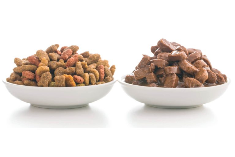 The Pet Trade Association of Greece has asked the Government for reduced VAT rates on dog and