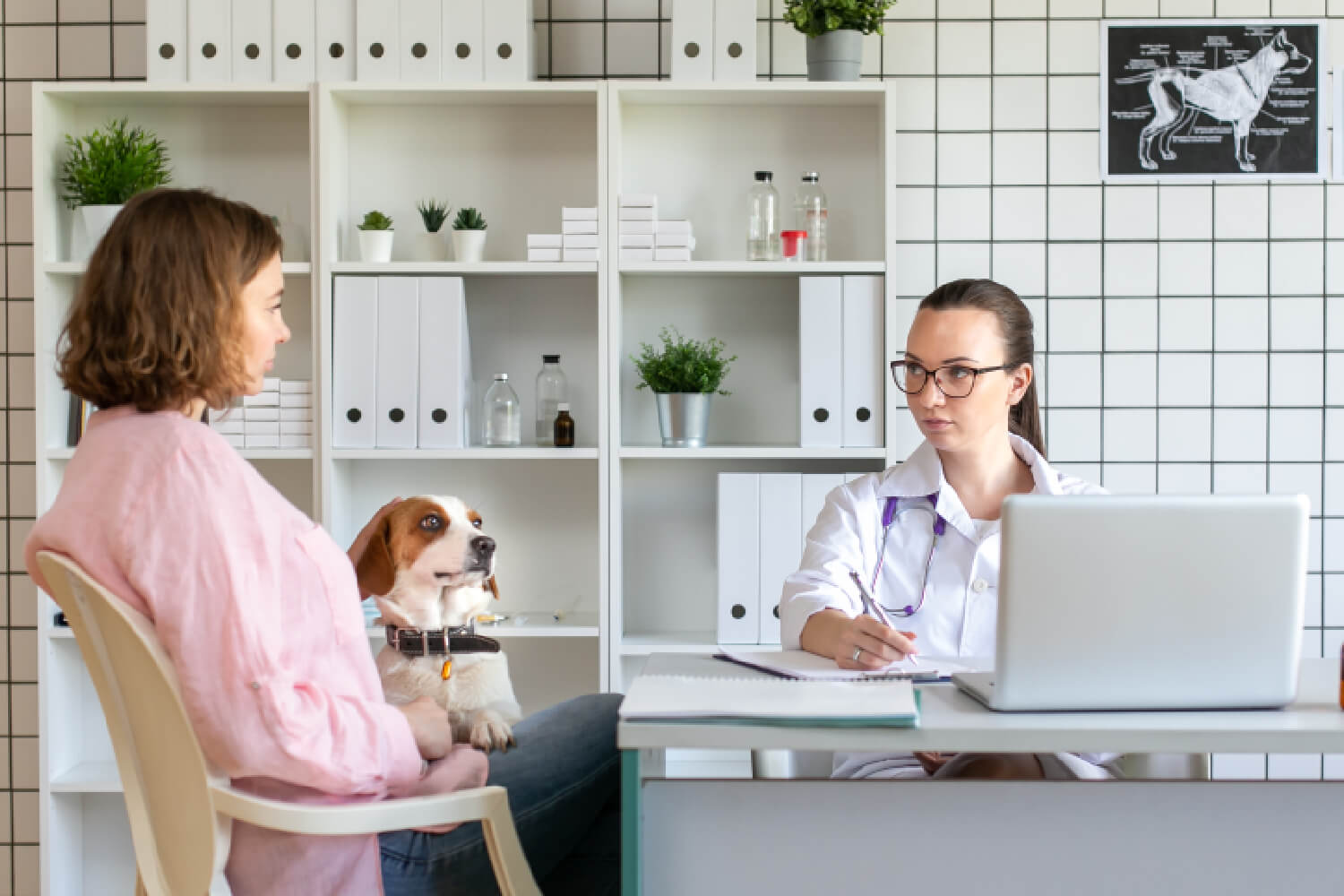 What millennial clients want from their veterinarian